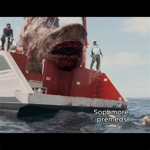 mcat.focus on Instagram: "Comment “Review” below to get free MCAT review sheets to help you prep smarter! When should you take the MCAT? The best time is after you’ve finished most of your prerequisite courses—that way, you’ll have all the science background you need to crush the test. For most premeds, this means taking the MCAT the summer after sophomore year, but it’s totally fine (and often better) to wait until later if you need more coursework or prep time. Must-have MCAT prerequisites: • 