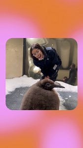 108K views · 5.8K reactions | Two icons together ! ICYMI, Pesto, a...