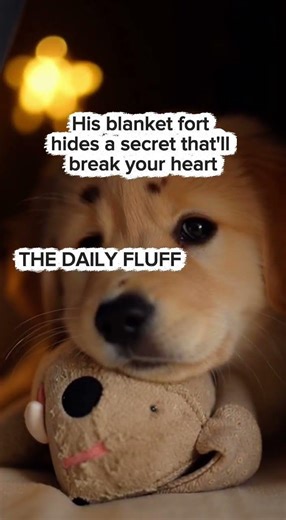 Alone Vulnerability with Maternal Motivation #pawsgigglesthedailyfluff #funny #puppies #bollywood