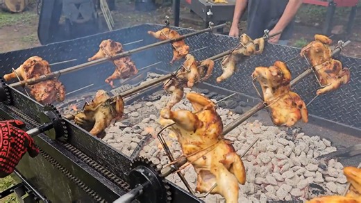 I tried this chicken machine and this is what happened