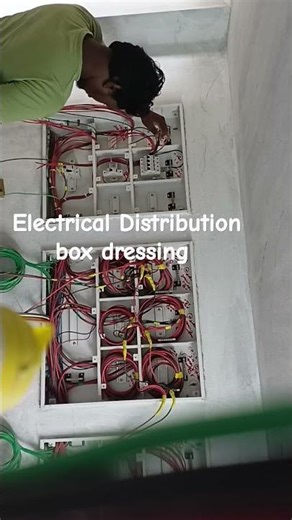 electrical Distribution box dressing