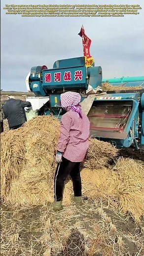 Farming Smarter: How Rice Husk Recycling Boosts Soil Health