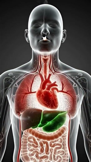 What Happens Inside Your Body After Smoking 🚬⚠️
