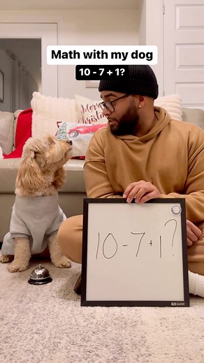 Luna The Mini Cockapoo on Instagram: "I can’t even believe it myself… 😳 #minicockapoo #puppylove #dogs"