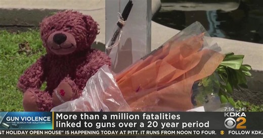 New study: More than a million fatalities linked to gun violence over twenty-year period