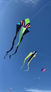 We love delta kites, but delta flo-tail kites? We’re obsessed. Here’s why they’re a favorite: 🪁Their long, flowing tails put on a seriously show-stopping display 🪁They’re versatile flyers, flying beautifully in winds from about 5 mph all the way up to 20 mph 🪁Quick and simple to assemble 🪁Incredibly easy to fly (perfect for beginners and seasoned kite lovers) 🪁Available in a variety of sizes and colors to match your vibe Search “delta flo” on our site or let us know if you’d like the 🔗 to 