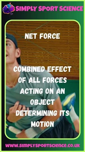 What is Net Force?