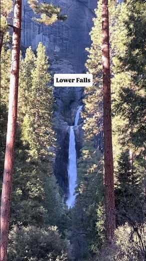 5 Must-See Places in Yosemite National Park! 🌲⛰️