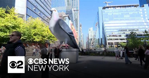 "Pigeon Fest" coming to NYC in June