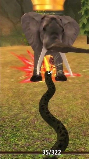 Python King's Power.... took off the Elephant | HIGH DIFF