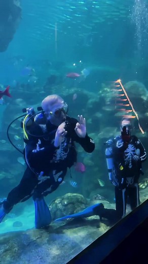 👻 What a start to October half-term! 🎃 Thank you to everyone who has joined us so far at Boo Planet Aquarium for spooktastic fun! We'll be hosting a whole host of terrifyingly terrific activities until Sunday 2nd, including: ⛏ Spooky Sandpit 👩‍🎨 Creepy Crafts ☠️ Scuba Skeleton shows at 11:30am, 1:30pm, & 3:30pm. 👻 Fancy dress fun 📖 Spooky Activity Booklet Don't miss out on this fang-tastic event that will entertain the whole family.