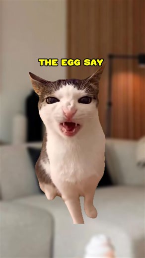 17K views · 483 reactions | What did the egg say to the boiling water? 藍 (CAT VERSION) ‎⁨@FreakAnimationso⁩ | Shercat Holmes Junior | Facebook