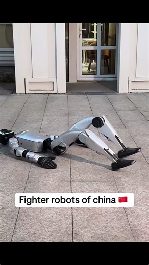 China's Advancements in Fighter Robot Technology