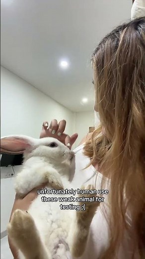 let’s stop animal testing #animaltesting #bunnies #rabbit