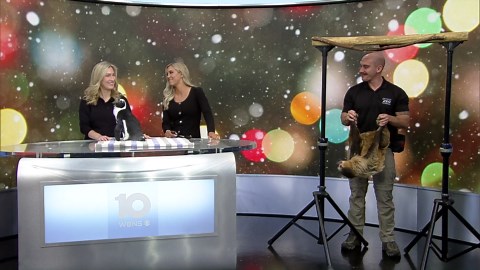 Special Columbus Zoo guests visit 10TV studio amid Wildlights season