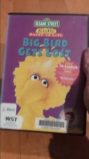 Sesame Street kids guide to Life big bird gets lost 2003 dvd review