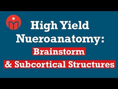 High Yield Neuroanatomy: Brainstem & Subcortical Structures
