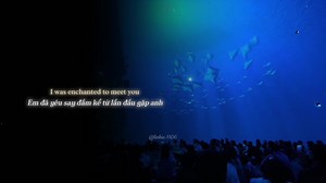 Enchanted Taylor Swift Song and Lyrics