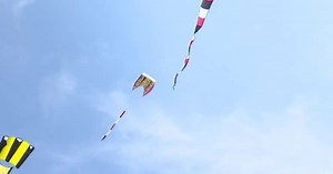 Hundreds enjoy Fly a Kite Fest