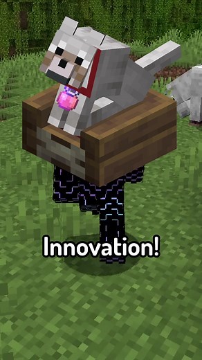 Mini Mod Reviews - Domestication Innovation #mcyt#minecraft#minecraftmemes#moddedminecraft#youtube#gaming#fyp