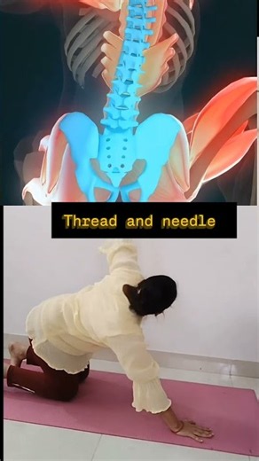 Thread the Needle Yoga Pose | Spine & Shoulder Stretch 🧘‍♀️