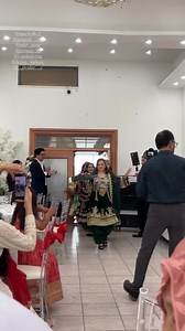 Afghan Wedding Highlights 2026 — Afg Wedding Moments