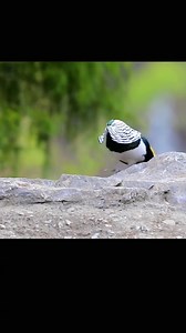 colorful life 600 🔑 | Flowers and Gifs