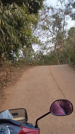 🌳🌴🌱🌳🌵 | Muemue Wanachaloemphum