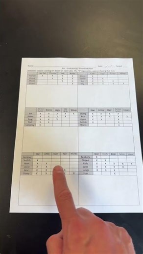 Evolutionary Tree Worksheet
