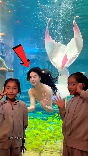 How Mermaids Survive Underwater? 🌊