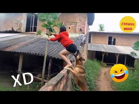 SI TE RÍES PIERDES NIVEL DIOS #668 🤣 VIDEOS DE RISA 😎HUMOR VIRAL MEXICANO🤣