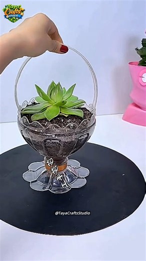 Turn Plastic Bottles into Beautiful Home Planters 🌿 | Smart Recycling DIY #shorts #viral #diy