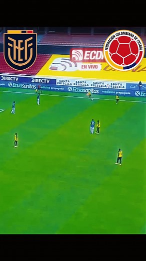 Cuentas recomendadas