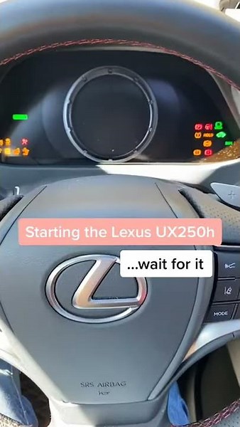 2020 Lexus UX250h