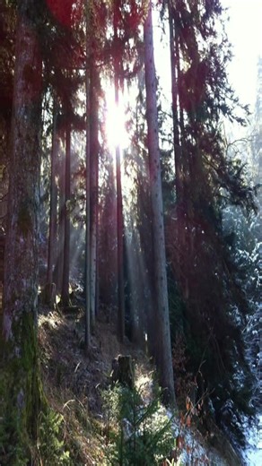 Mentally I Am Here: Fall 2000s Vibes