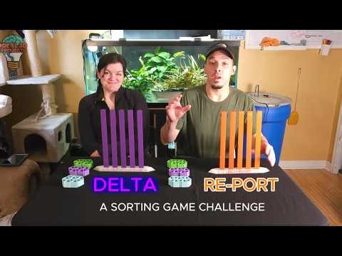 We Tried To Beat Each Other Using Sorting! #logicgame #3dprinting #prototypetesting #sorting