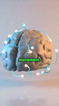Definition of Cerebral Palsy: Key Exam Points