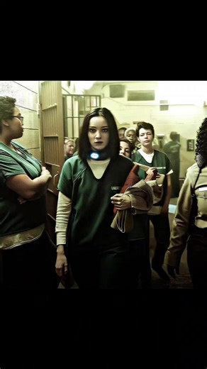 Exploring the Best Dutch Films of the Year