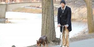 Cloning Your Pets Is Going Mainstream. Is That a Good Idea?