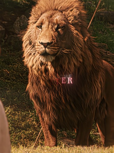 Aslan Edit: King of Narnia Tribute