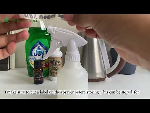 How to Make Neem Oil Solution | Organic and Natural Pesticide for Plants