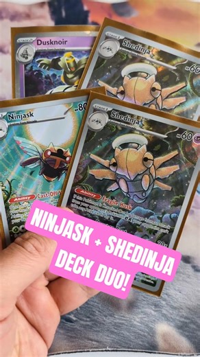 Shedinja and Ninjask attack for 390?!