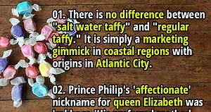 Random #345 – 50 Awesome Random Facts - Fact Republic