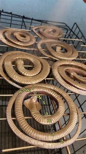 DIY MEDUSA'S HEAD