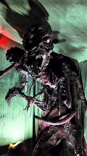 Jerry Paxton on Instagram: "🎃 Here are some highlights from the ZOO maze at Knott’s Scary Farm! ⠀⠀⠀⠀⠀⠀⠀⠀⠀⠀⠀⠀ ⠀⠀⠀⠀⠀⠀⠀⠀⠀⠀⠀⠀ ⠀⠀⠀⠀⠀⠀⠀⠀⠀⠀⠀⠀ Don’t forget to LIKE💙 and FOLLOW us for more news! .⠀⠀⠀⠀⠀⠀⠀⠀⠀⠀⠀ . ⠀⠀⠀⠀⠀⠀⠀⠀⠀⠀⠀⠀ ⠀⠀⠀⠀⠀⠀⠀⠀⠀⠀⠀⠀ . ⠀⠀⠀⠀⠀⠀⠀⠀⠀⠀⠀⠀ ⠀⠀⠀⠀⠀⠀⠀⠀⠀⠀⠀⠀ . ⠀⠀⠀⠀⠀⠀⠀⠀⠀⠀⠀⠀ ⠀⠀⠀⠀⠀⠀⠀⠀⠀⠀⠀⠀ . ⠀⠀⠀⠀⠀⠀⠀⠀⠀⠀⠀⠀ ⠀⠀⠀⠀⠀⠀⠀⠀⠀⠀⠀⠀ . .⠀⠀⠀⠀⠀⠀⠀⠀⠀⠀⠀⠀ ⠀⠀⠀⠀⠀⠀⠀⠀⠀⠀⠀⠀ . ⠀⠀⠀⠀⠀⠀⠀⠀⠀⠀⠀⠀ ⠀⠀⠀⠀⠀⠀⠀⠀⠀⠀⠀⠀ 🍇 Tags: #zoo #scaryfarm #haunt #halloweenhaunt #hauntedhouse #knotts #knottsscaryfarm #halloweenfun @knottsberryfarm @knottsscary
