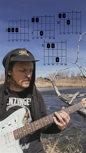Four Chords of @scarletrae Song: Best Waitress #guitar #chords