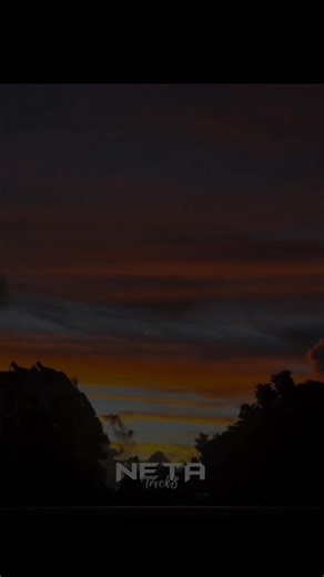 Sunset Lover Lyrics Explained