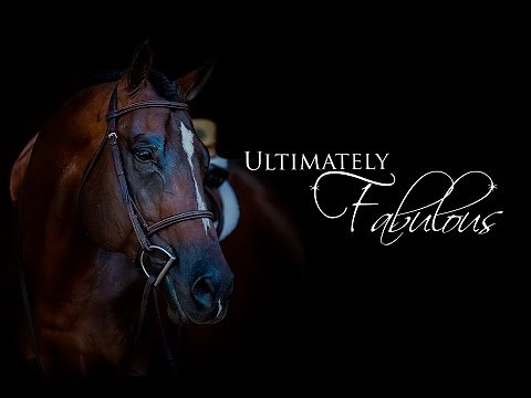 Ultimately Fabulous: 2009 AQHA Stallion