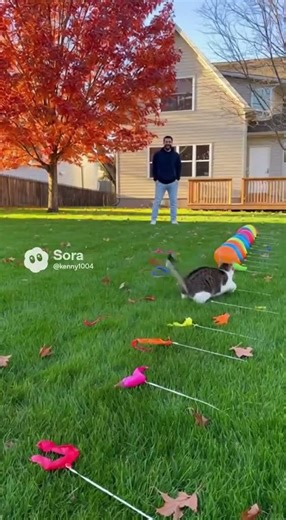 Cat Pops 15 Balloons in a Row… Like a Furry Chainsaw 😂🎈🐱