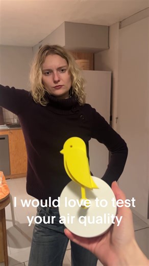 Improve Your Indoor Air Quality with Birdie®